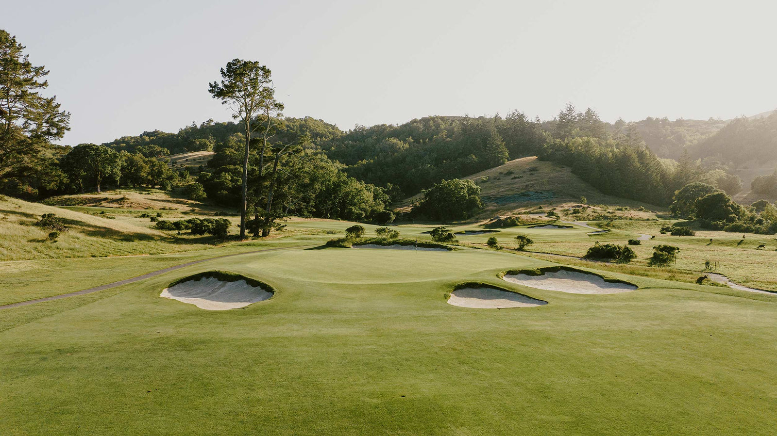 Meadow Club - No. 10