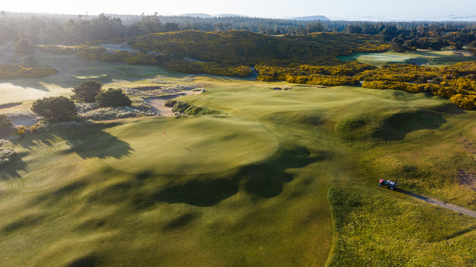 Old Macdonald - Nos. 5 & 10 Double Green