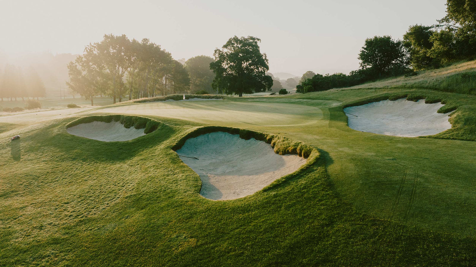 Meadow Club - No. 11