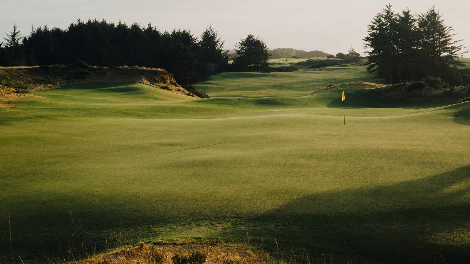 Sheep Ranch - No. 11