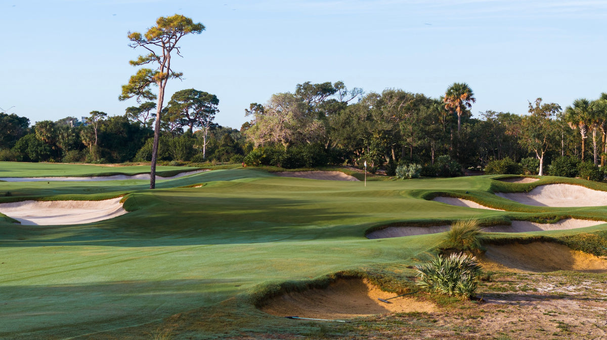 The Park - No. 11