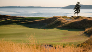 Chambers Bay - No. 11