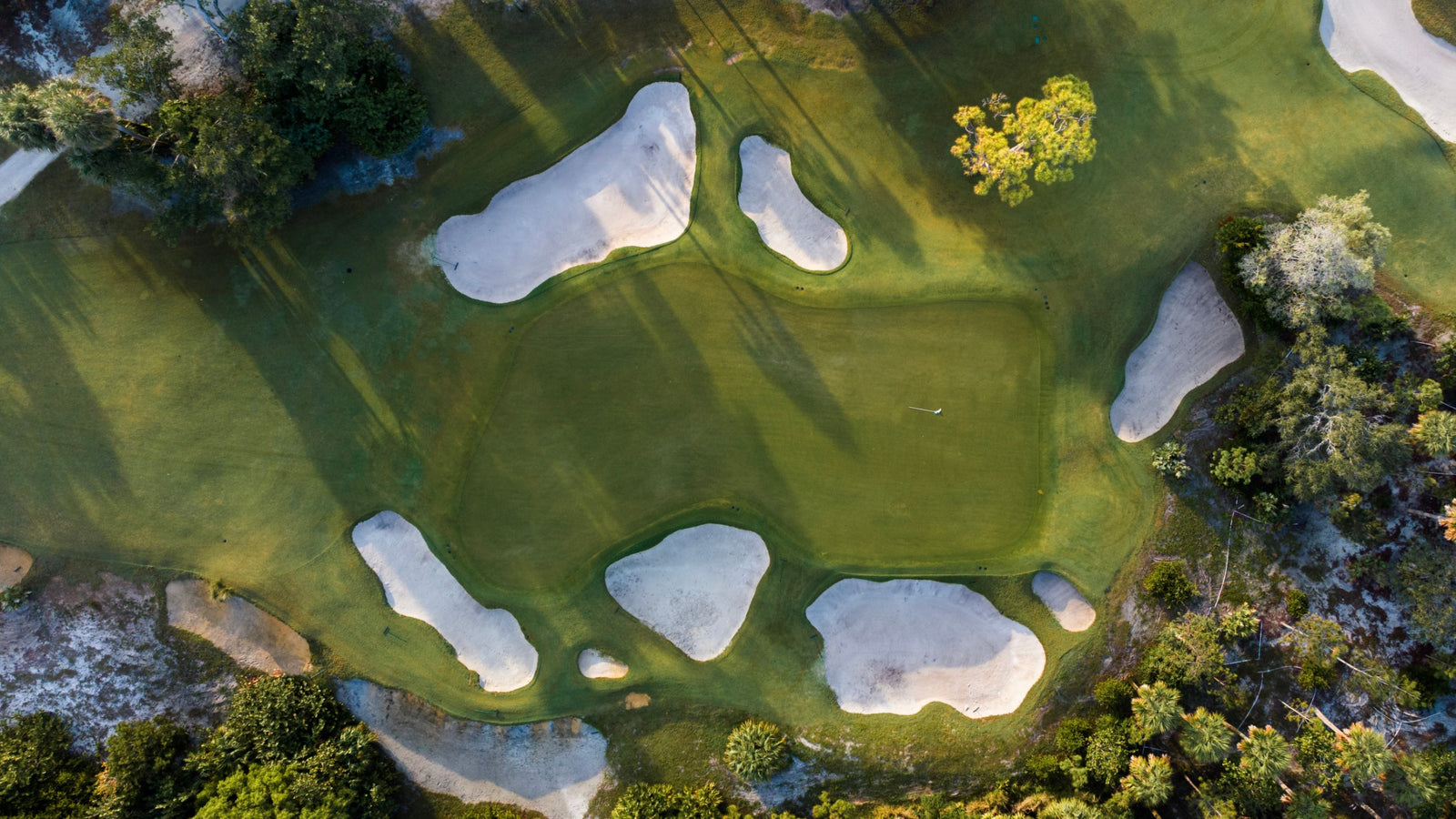 The Park - Above No. 11