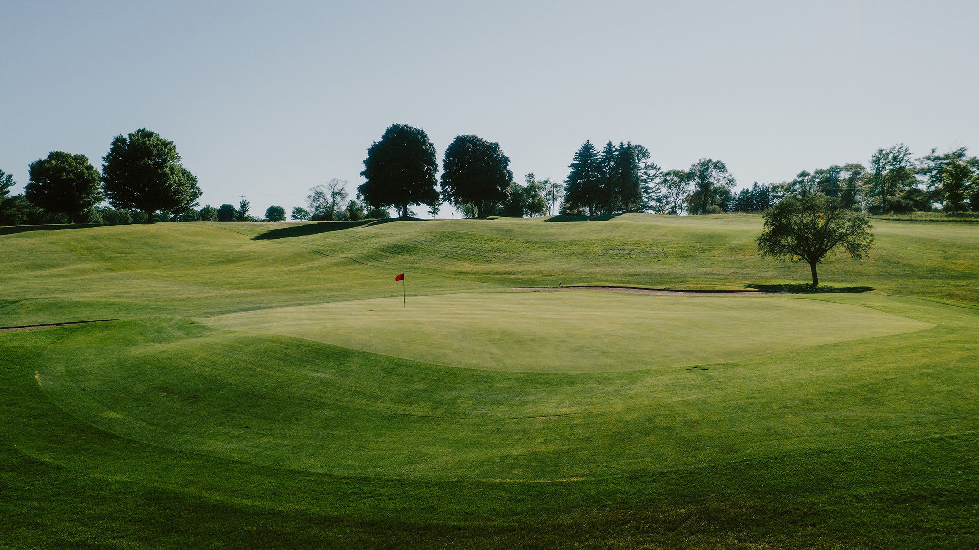 Belvedere - No. 12 Green