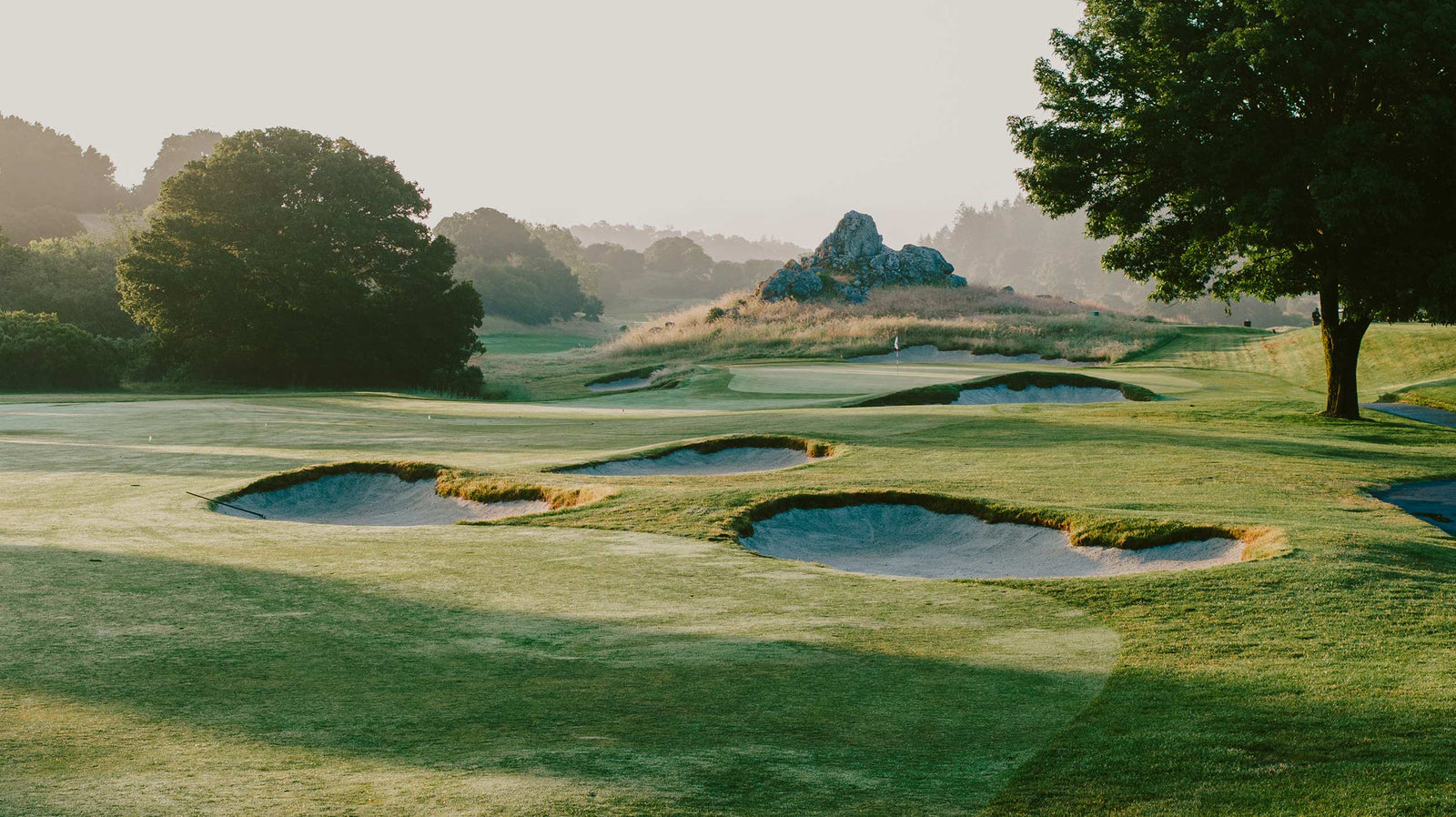 Meadow Club - No. 12