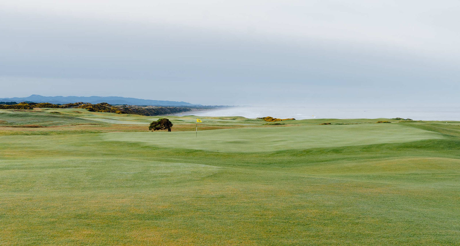 Sheep Ranch - No. 12