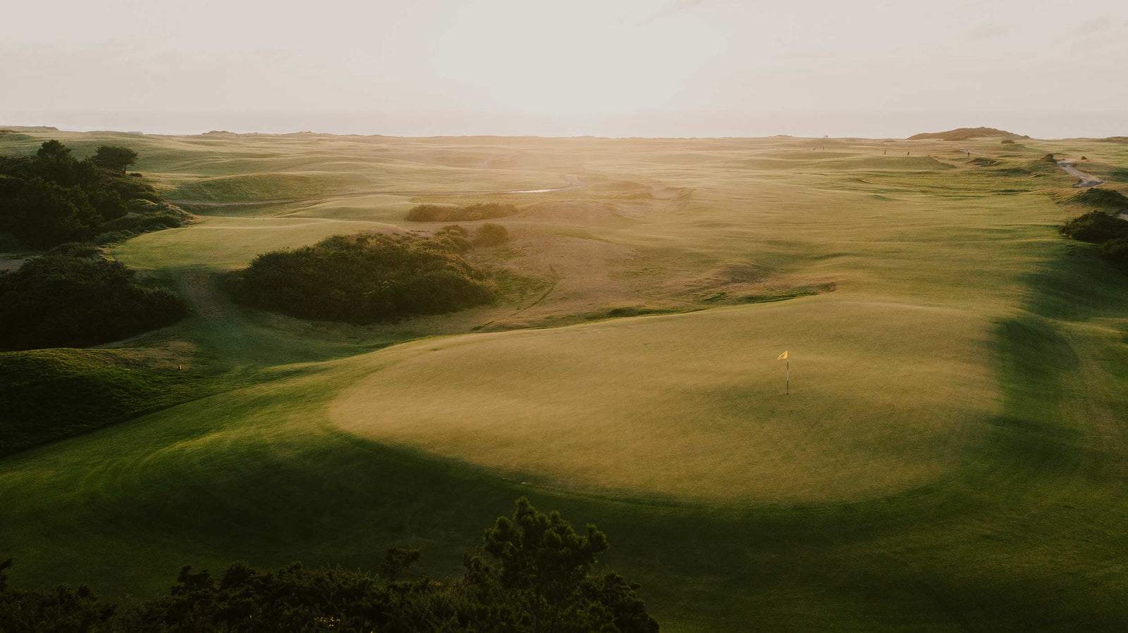 Sheep Ranch - No. 13