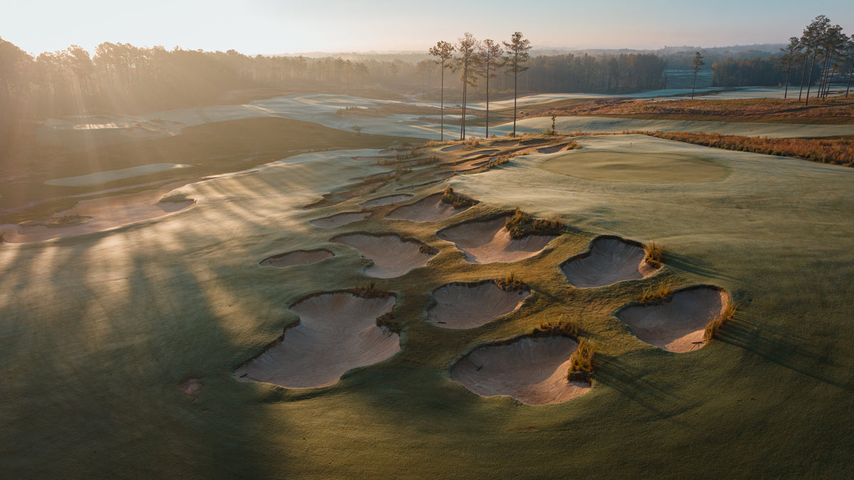 Broomsedge - No. 13