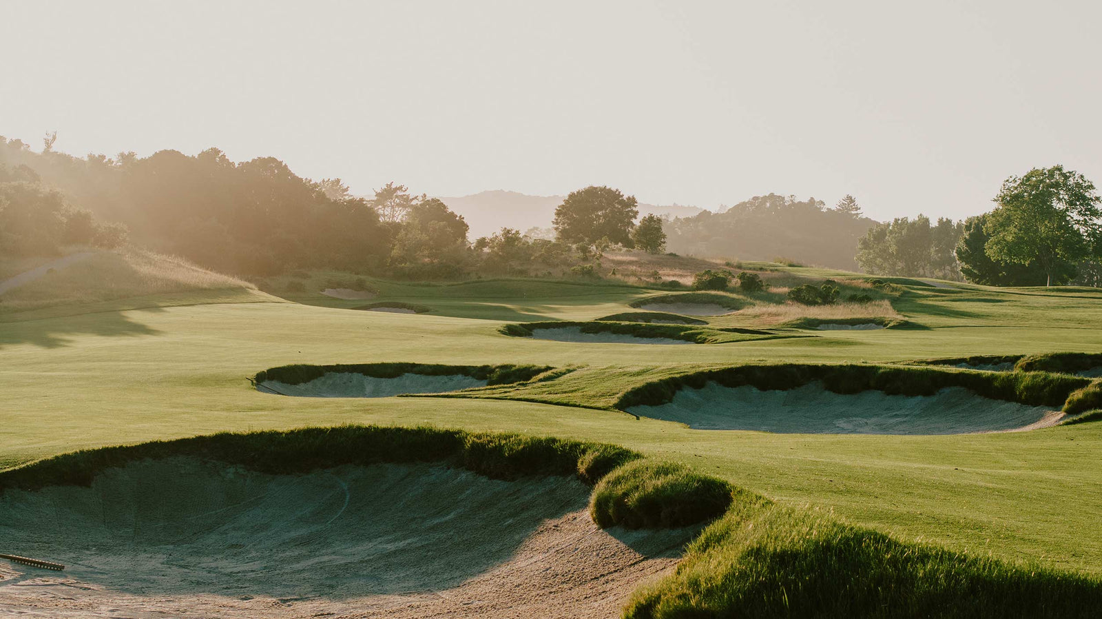 Meadow Club - No. 15