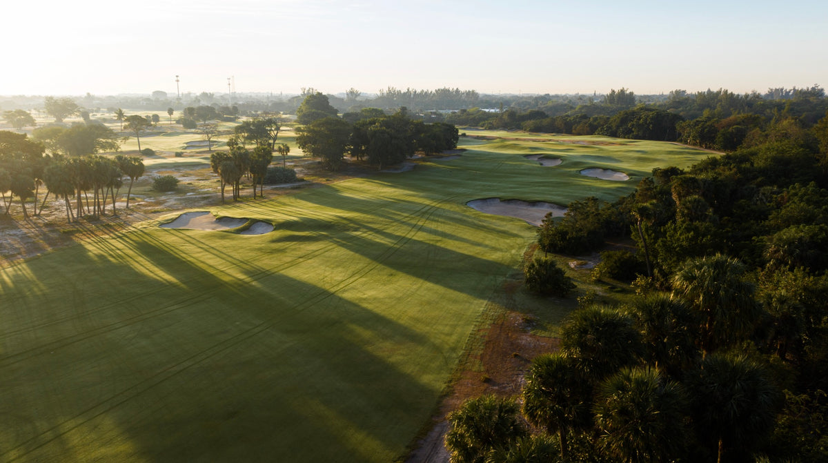 The Park - No. 15