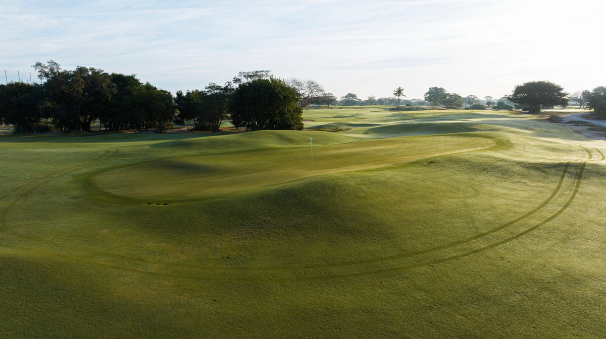 The Park - No. 15 Green