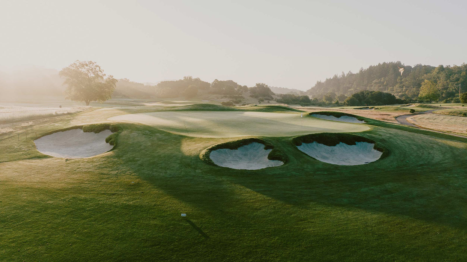 Meadow Club - No. 16