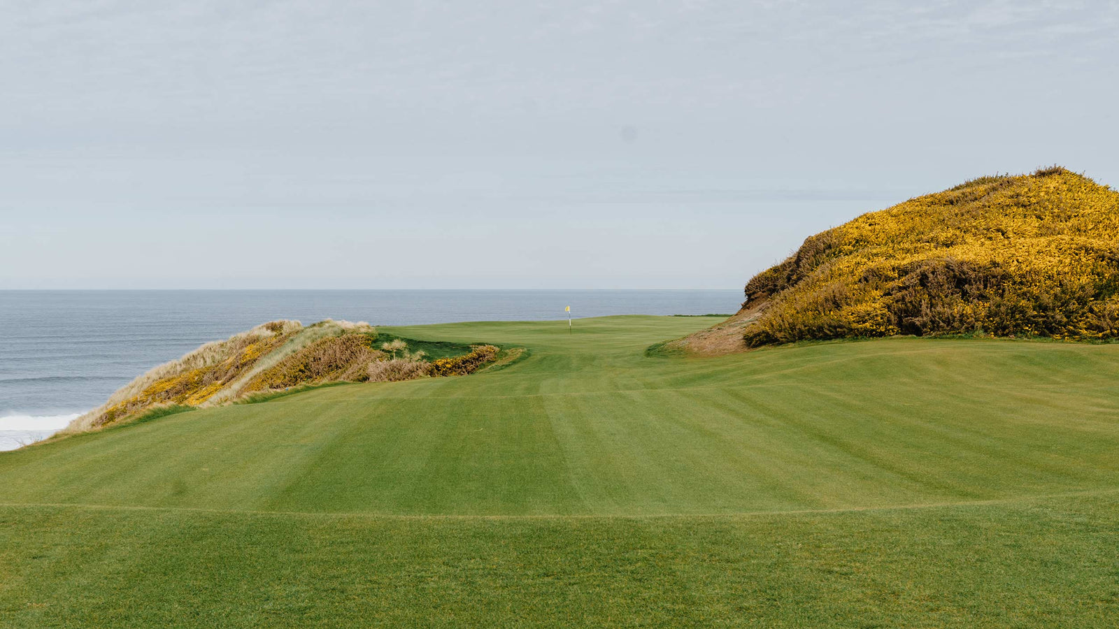 Sheep Ranch - No. 16