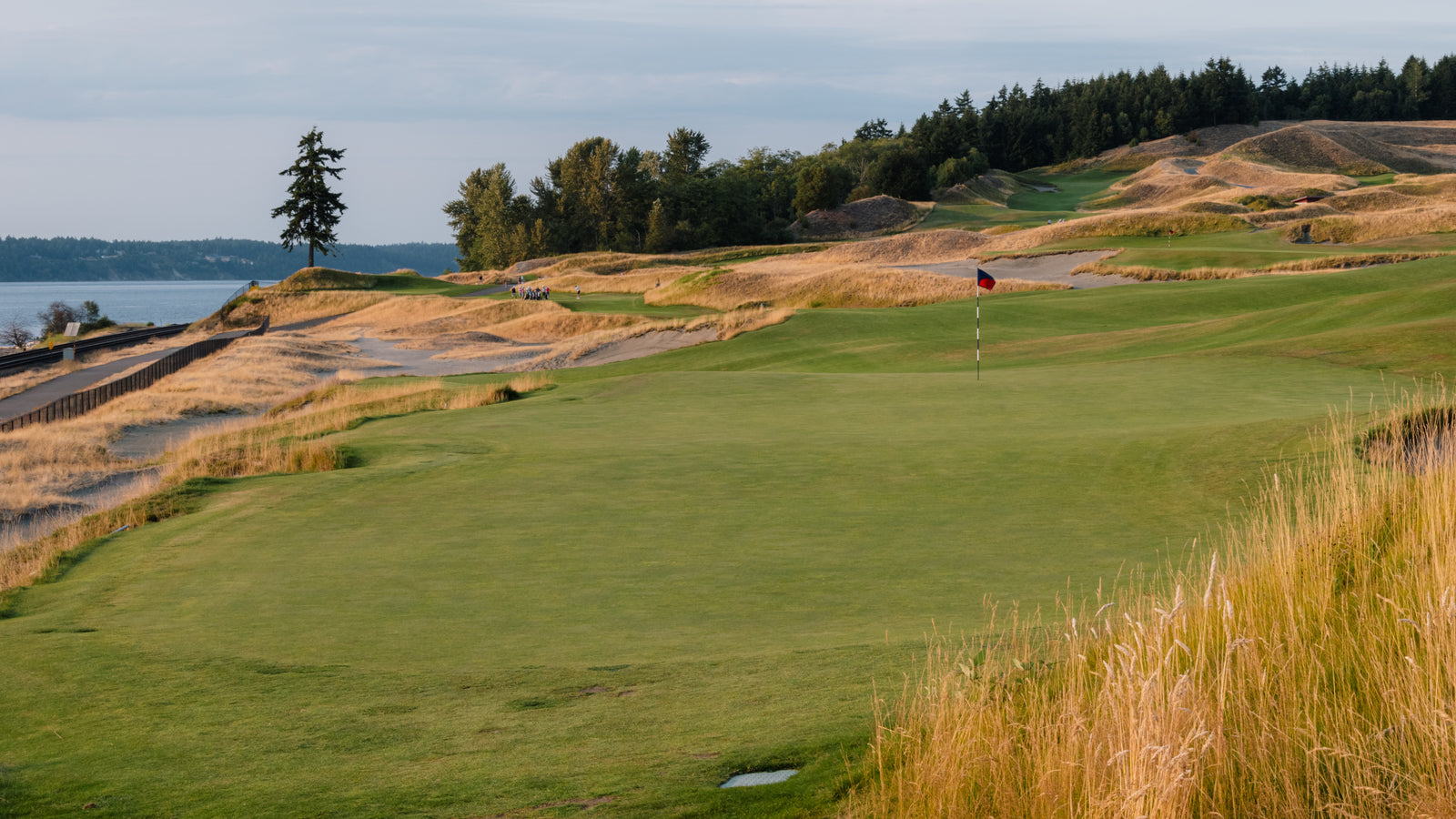 Chambers Bay - No. 16