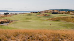 Chambers Bay - No. 18