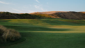 Chambers Bay - No. 1 Green