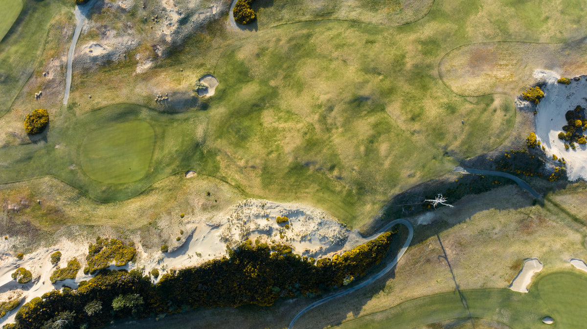Old Macdonald - Above No. 3 & Ghost Tree