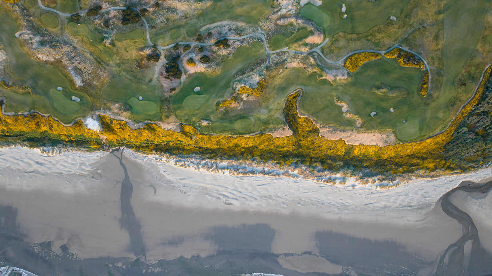 Bandon Dunes - Above Oceanfront Holes & Gorse