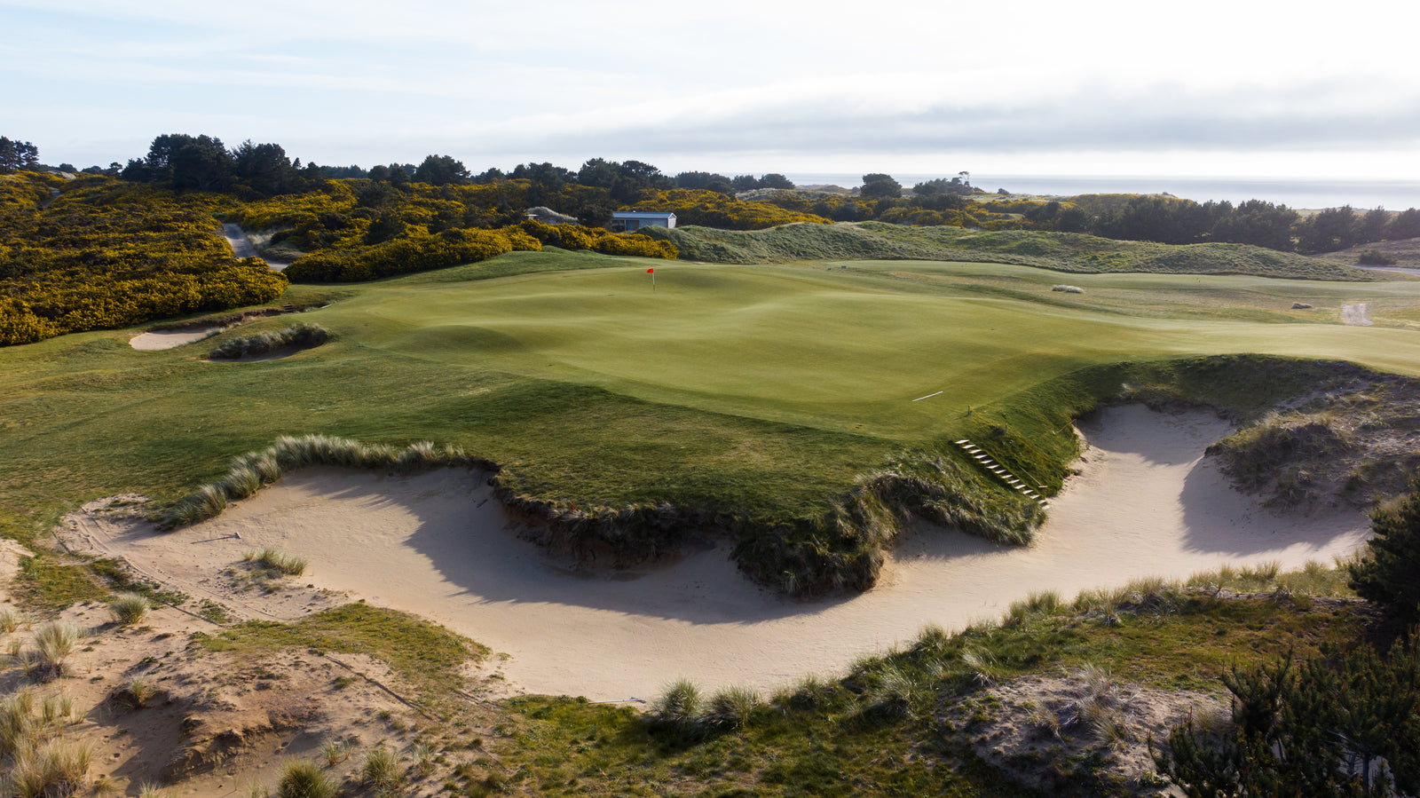 Old Macdonald - No. 5 - Short