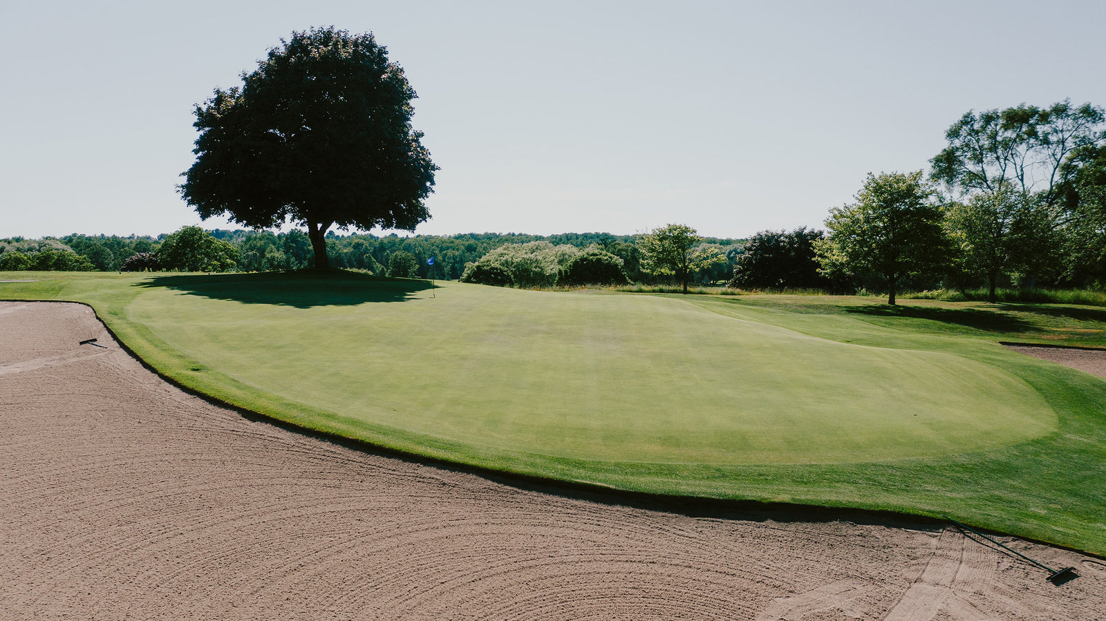 Belvedere - No. 8 Green