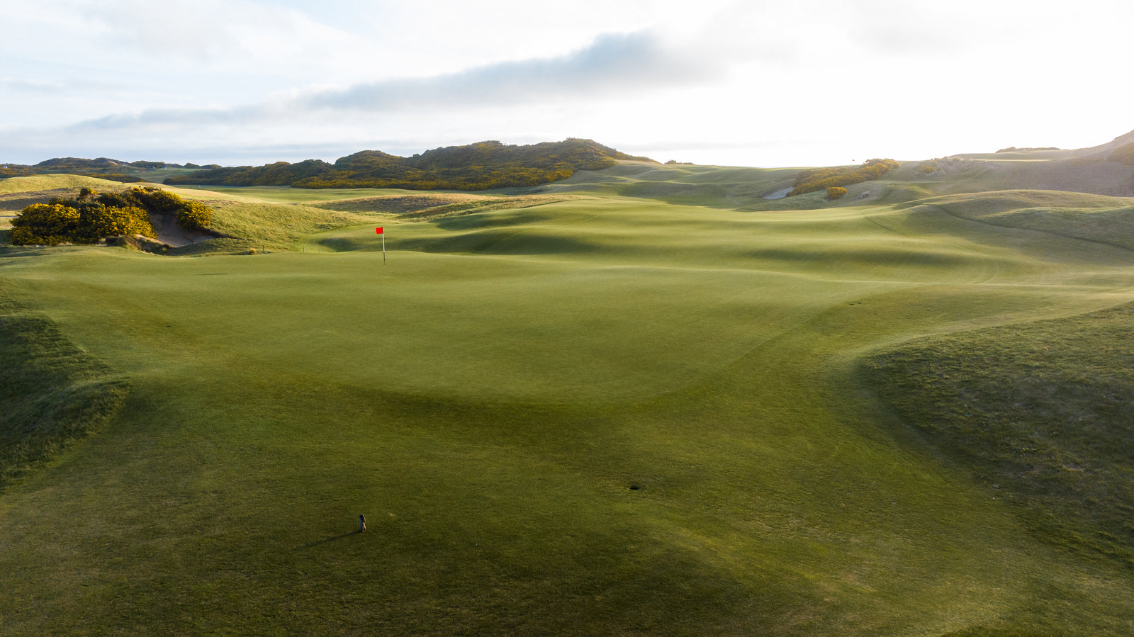 Old Macdonald - No. 8 - Biarritz