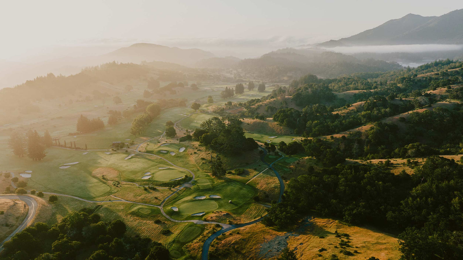 Meadow Club - High Aerial