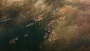 Broomsedge - High Aerial Sunrise