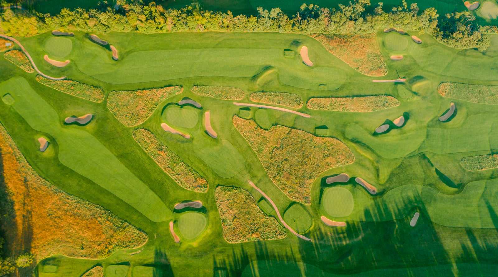 Lawsonia - Overhead of the Back Nine
