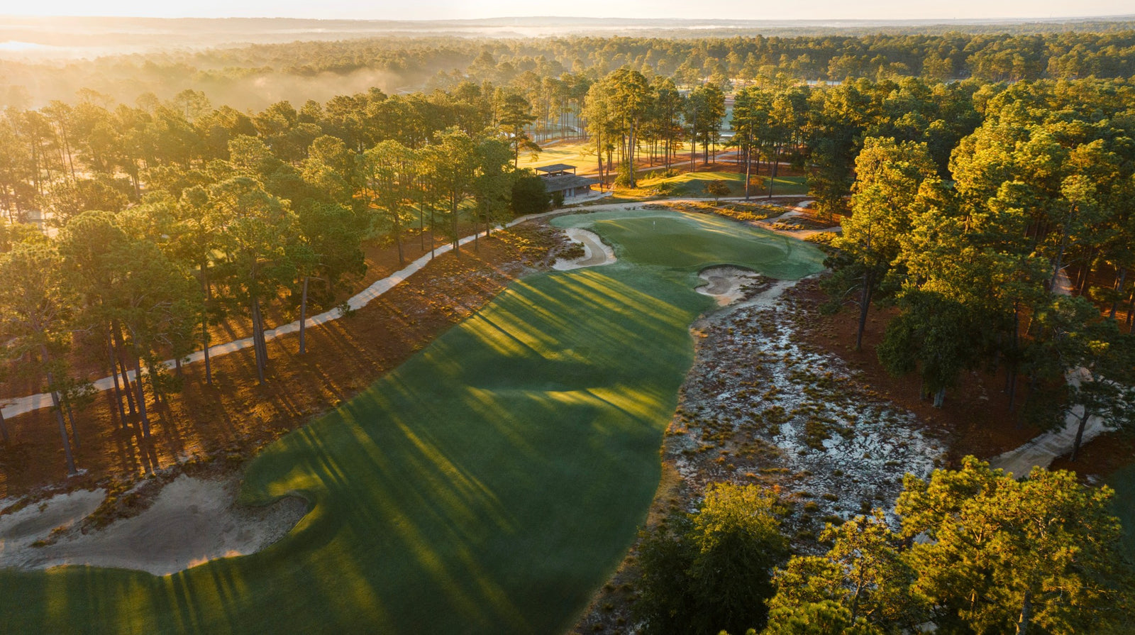 Pinehurst #2 - No. 10