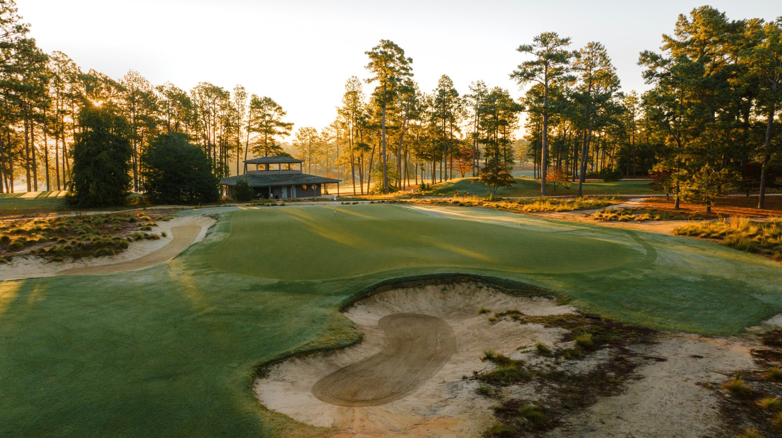 Pinehurst #2 - No. 10 Green