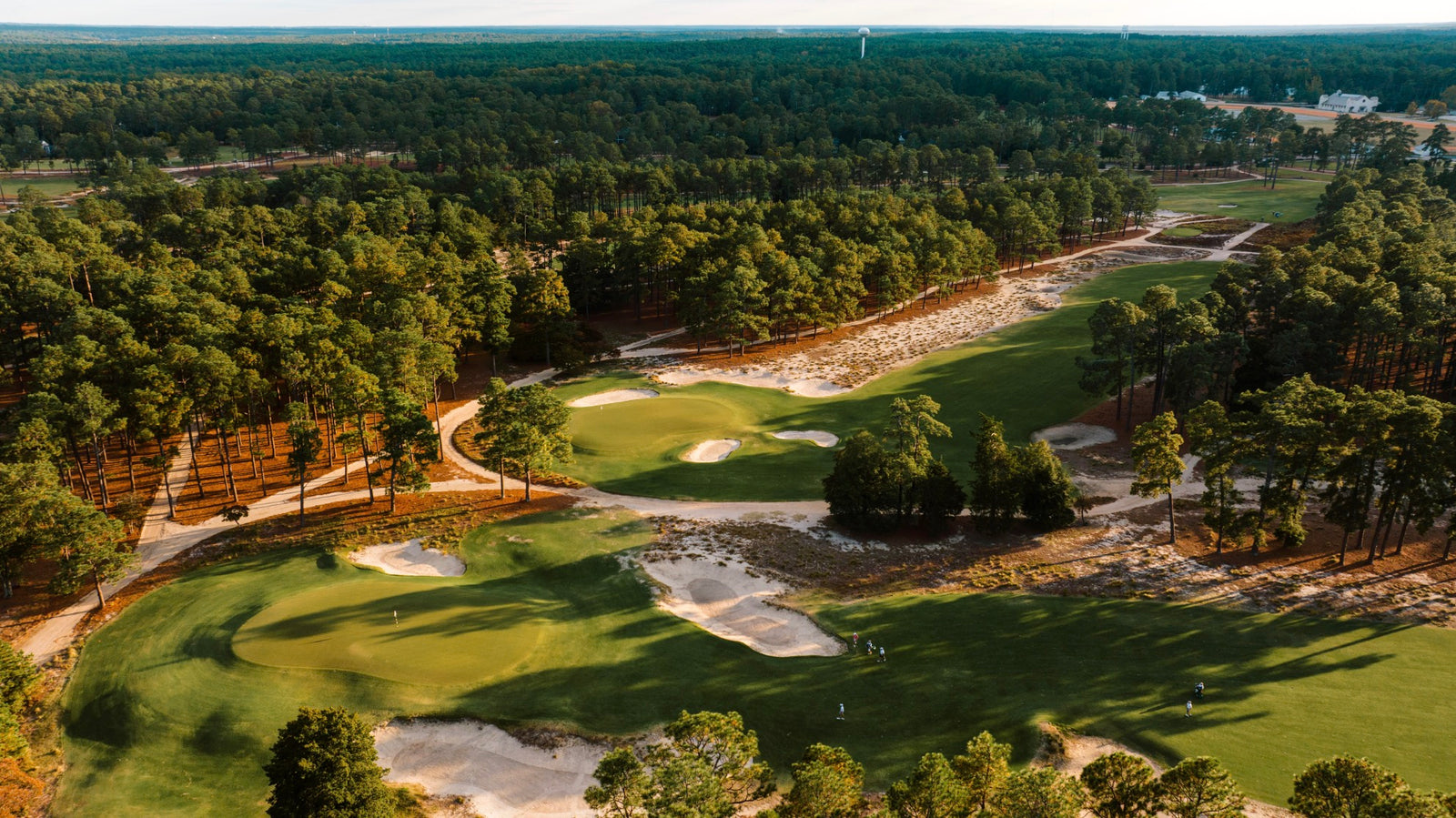 Pinehurst #2 - Nos. 12 & 14