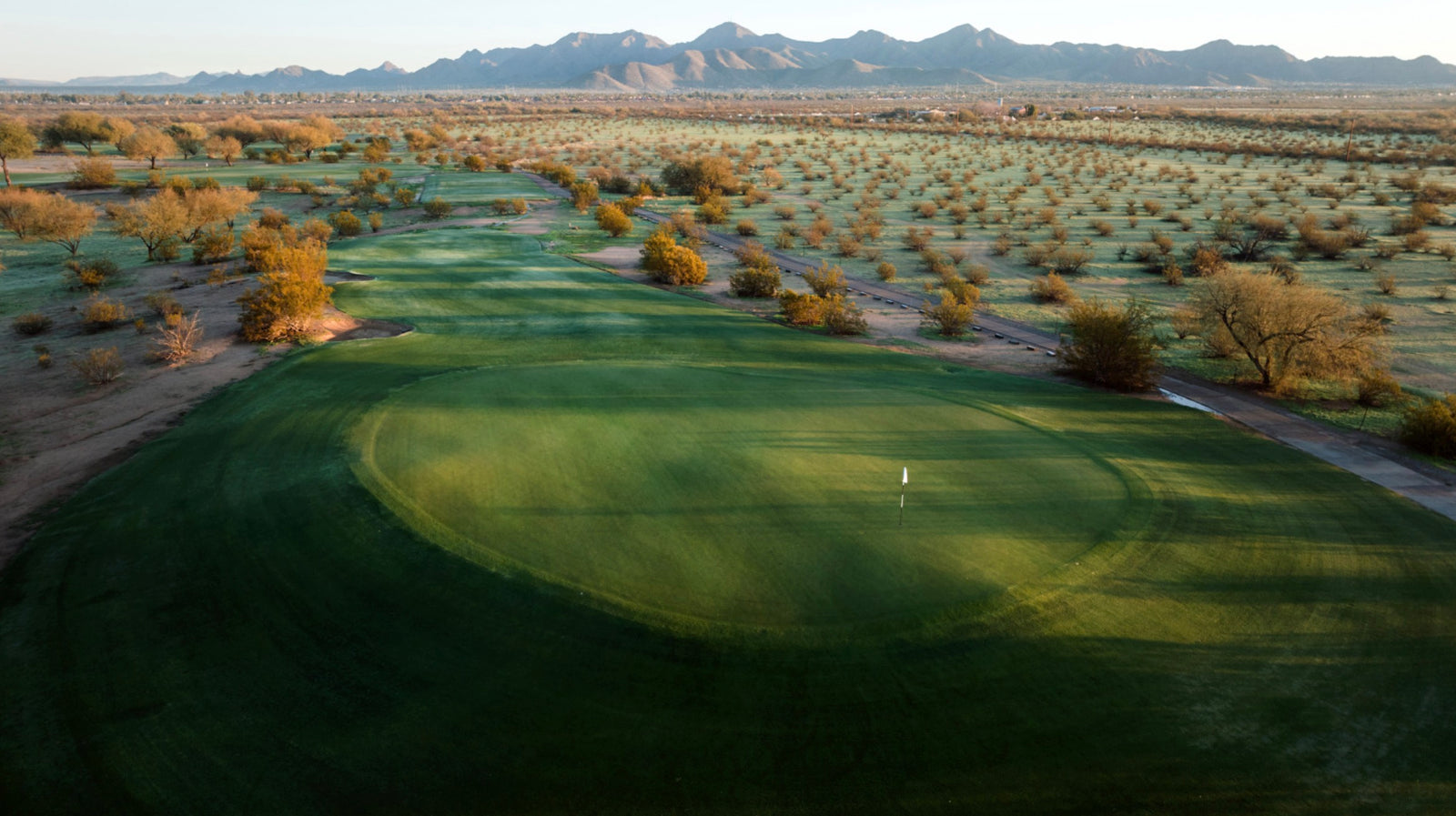 Talking Stick (O'odham) - No. 16 Green