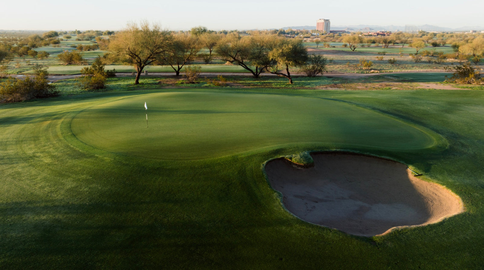 Talking Stick (O'odham) - No. 13