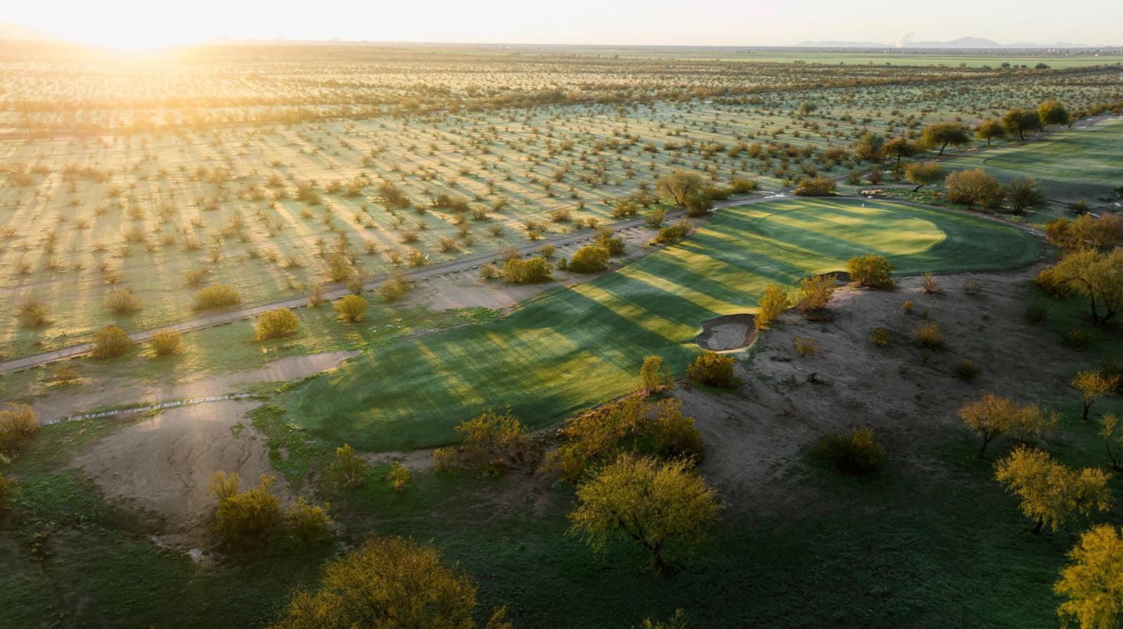 Talking Stick (O'odham) - No. 16