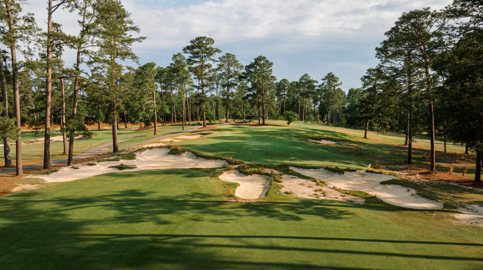 Southern Pines - No. 15
