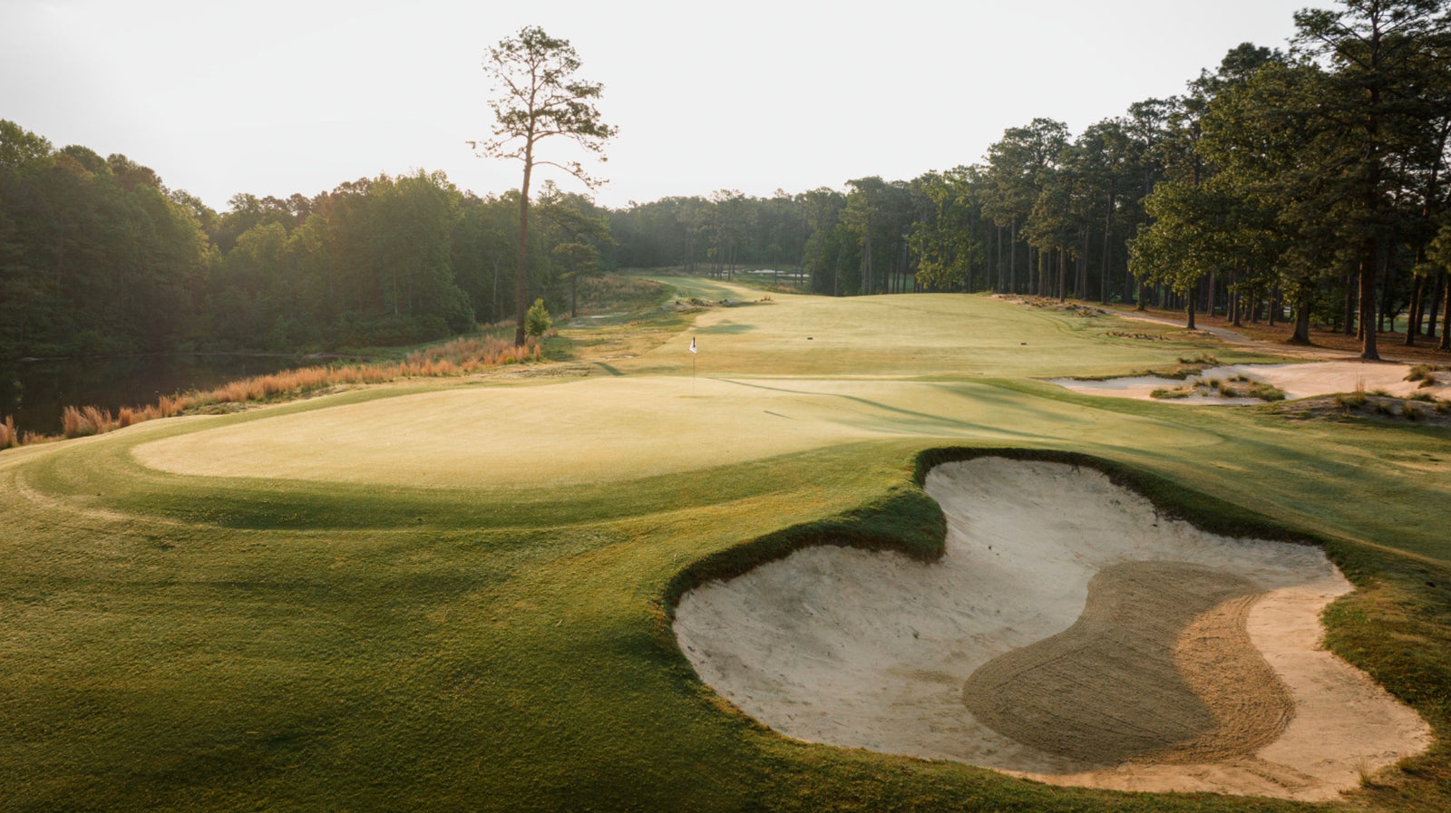 Southern Pines - No. 8