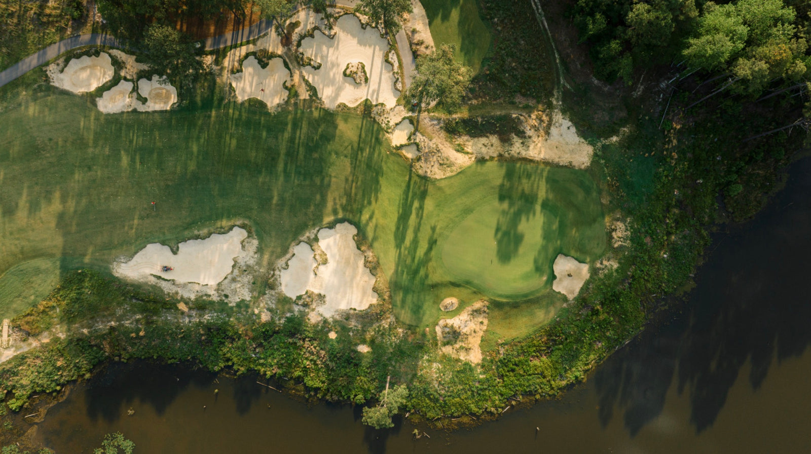 Southern Pines - Above No. 11