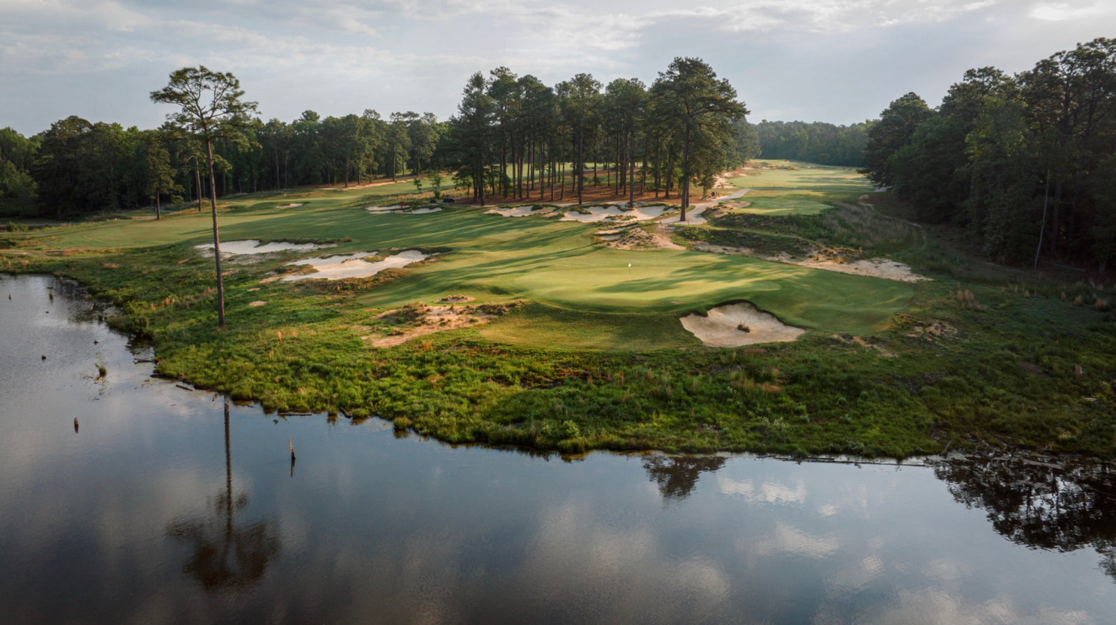 Southern Pines - No. 11