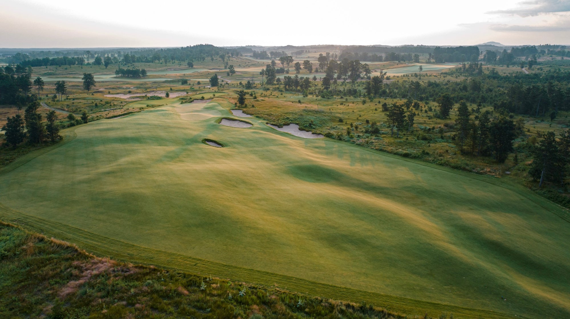 Sedge Valley - No. 12