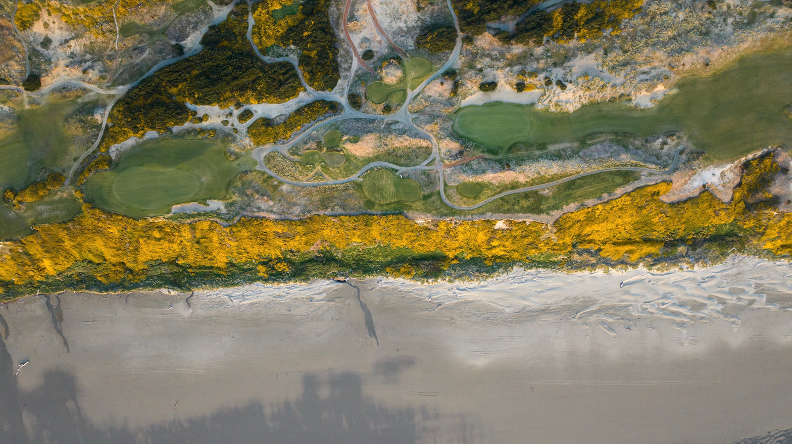 Bandon Dunes - Above Nos. 5 & 6
