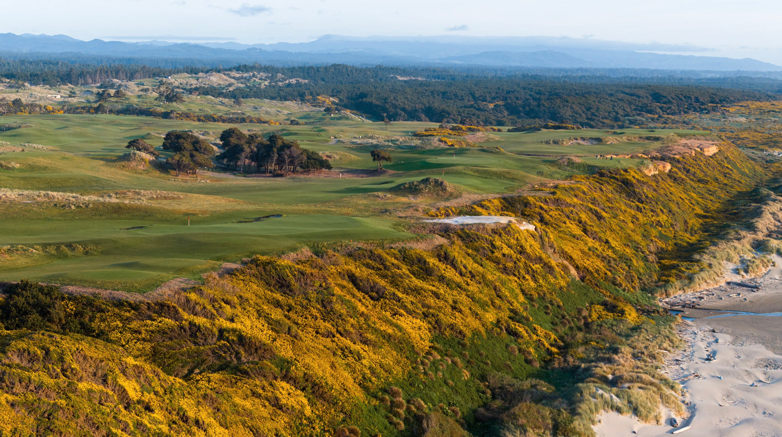 Bandon Dunes - In Full Bloom