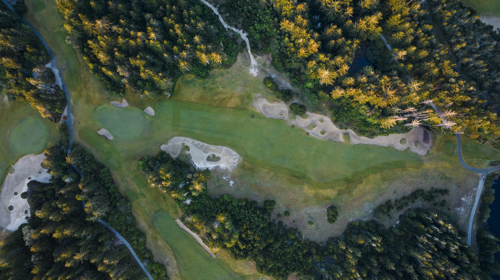 Bandon Trails - Above No. 7