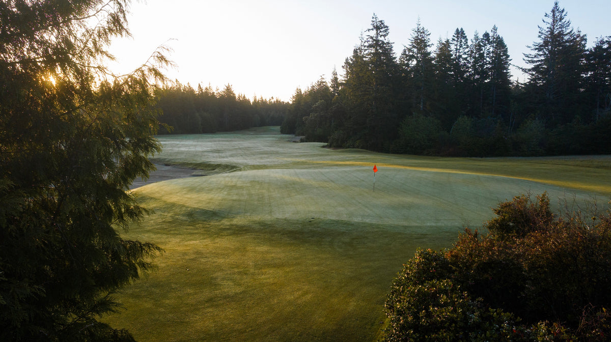 Bandon Trails -  Behind No. 10