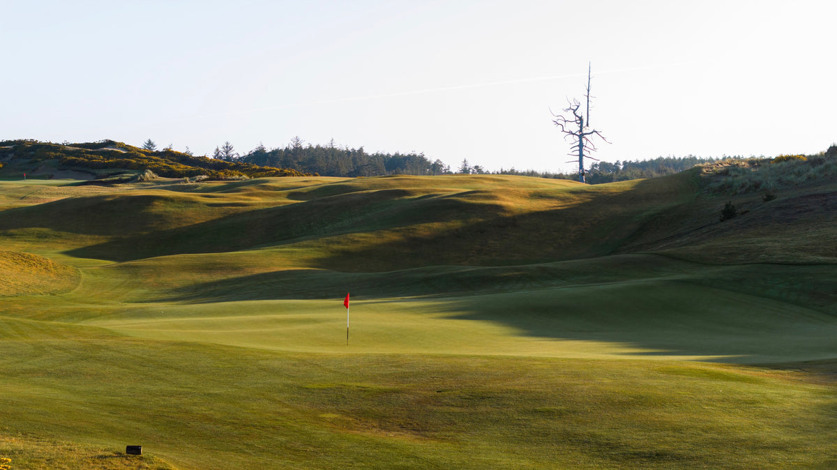 Old Macdonald - No. 3 Green & Ghost Tree