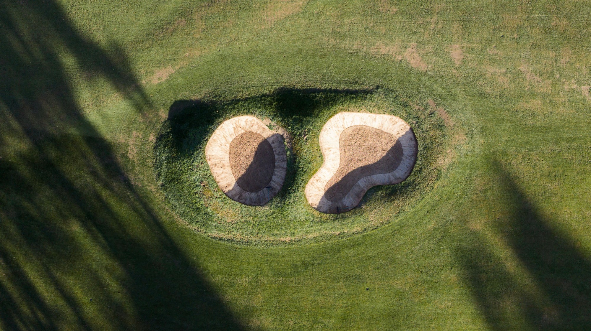 Woking Golf Club - Above the Principal's Nose