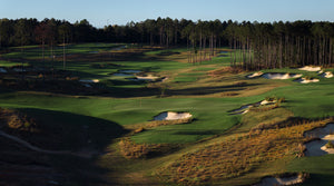 Broomsedge - Nos. 8, 11 & 13