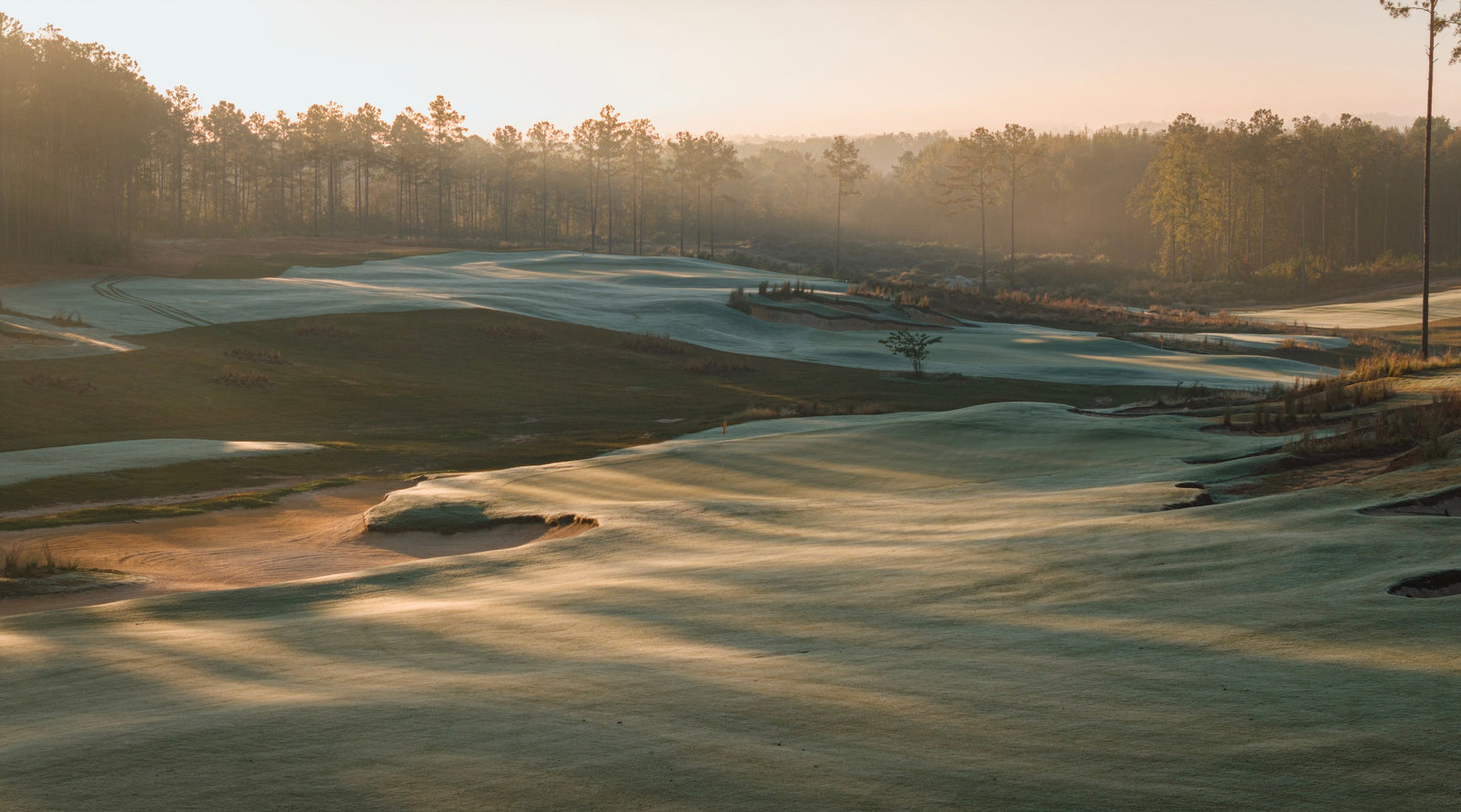 Broomsedge - Nos. 11 & 13