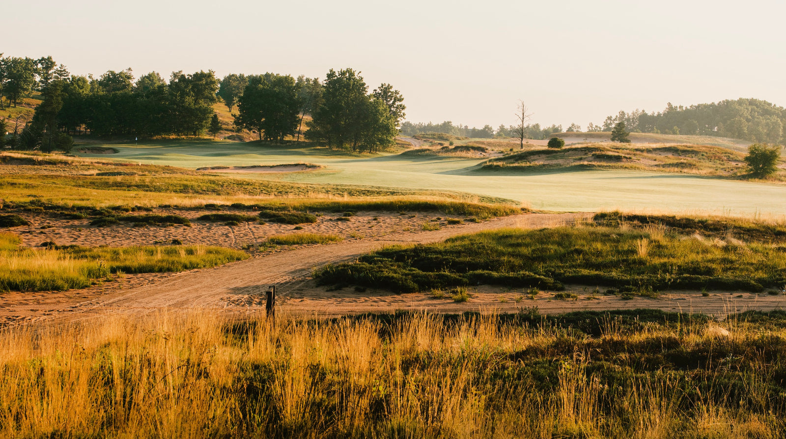 Sand Valley - No. 15