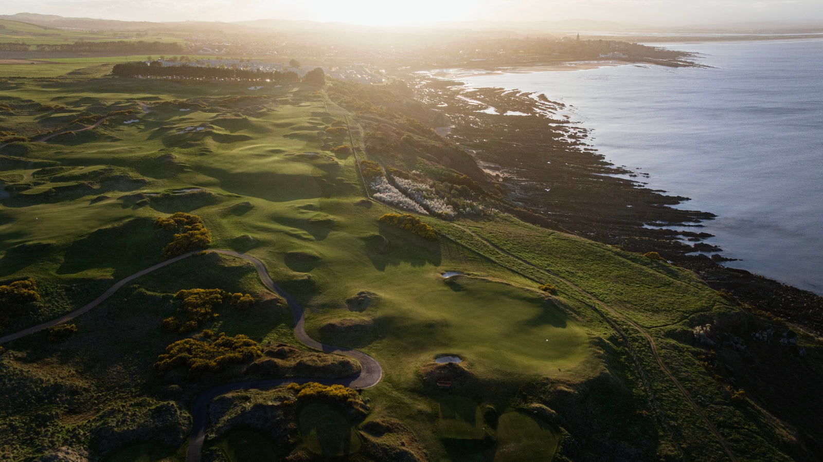 St. Andrews (The Castle Course) - No. 7