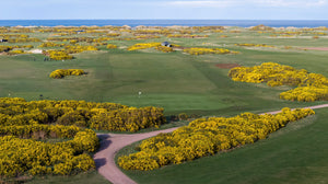 St. Andrews (Eden Course) - No. 16
